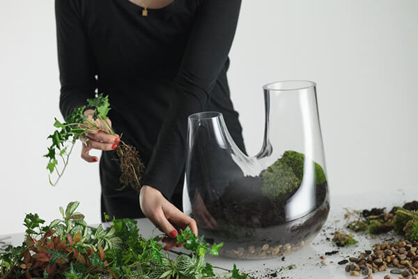 Glass Terrarium: Chic Indoor Home Garden