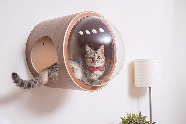 Cat Furniture Design by MyZoo