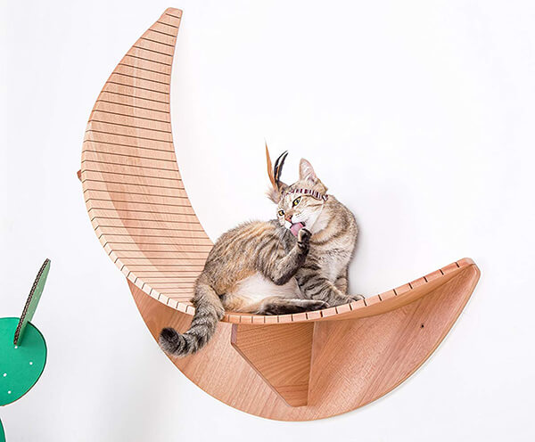 Cat Furniture Design by MyZoo