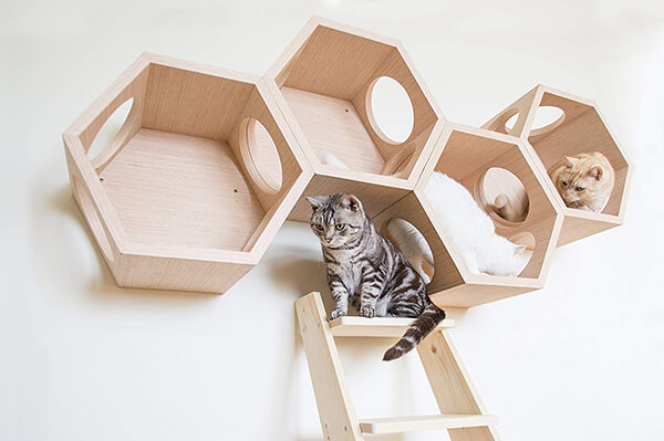 Cat Furniture Design by MyZoo